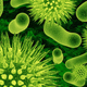 Illustration for article titled Drug-resistant superbug is in Delhis water supply, could spread worldwide soon
